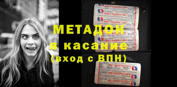 ГАЛЛЮЦИНОГЕННЫЕ ГРИБЫ Дмитриев