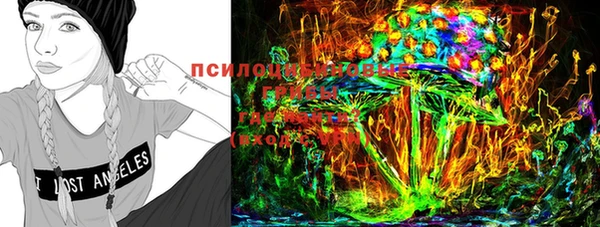 крисы Абинск