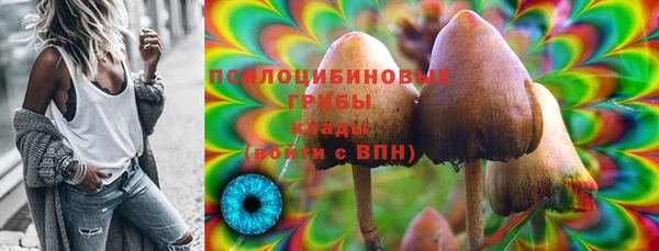 гашик Абдулино