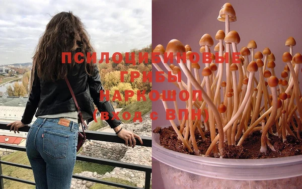 гашик Абдулино