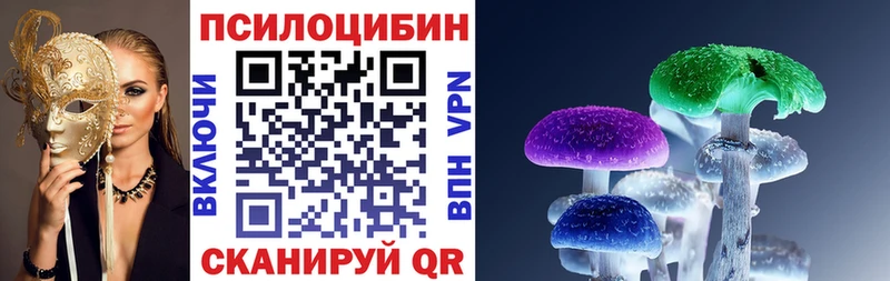 Псилоцибиновые грибы Magic Shrooms  Ленинградская 